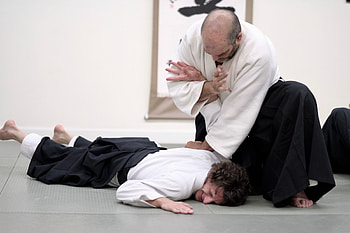 Bruce Bookman, Aikido HD wallpaper