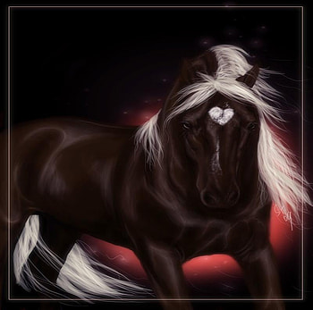 Dark Valentine, valentine, horse HD wallpaper