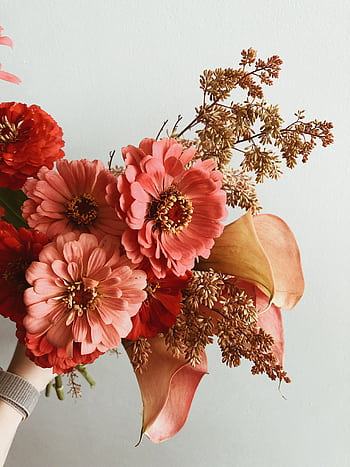 A delicate bouquet featuring vibrant Zinnias and elegant Calla Lilies against a soft background. HD phone wallpaper