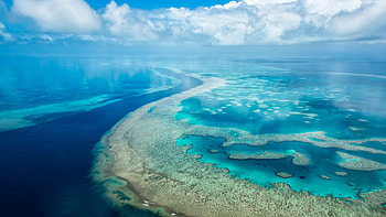 Great Barrier Reef, Underwater paradise, Coral wonders, Marine marvel HD wallpaper