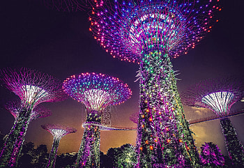 Gardens at night, glow HD wallpaper