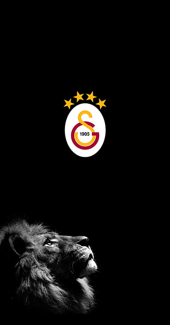 Galatasaray, cimbom HD phone wallpaper