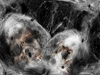 Aftermath, end of the world, spiders, dark, death, skulls HD wallpaper