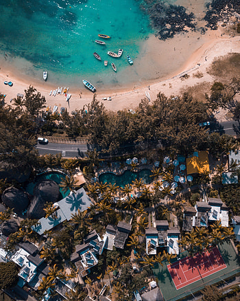 Trees, Beach, Building, View From Above, Coast, Miscellanea, Miscellaneous, Road HD phone wallpaper