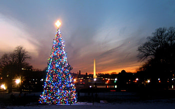 .Spectacular of Xmas Tree., celebrations, winter, holidays, graphy, winter holidays, twilight, happy, amazing, christmas tree, light bulb, attractions in dreams, ornaments, beautiful, greetings, creative pre-made, love four seasons, christmas, decorations, sky, xmas and new year, lovely HD wallpaper