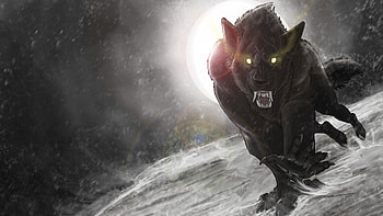 Dark - Werewolf HD wallpaper