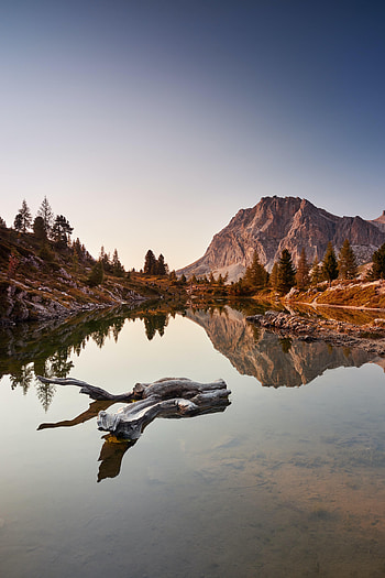 Mountains, Landscape, Nature, Trees, Lake, Snag HD phone wallpaper