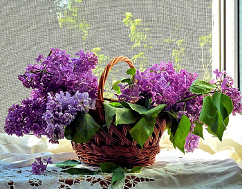 Basket of flowers, Flowers, Lilac, Bouquet, Purple HD wallpaper