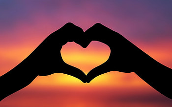 Holidays, Background, Hearts, Love, Valentine's Day HD wallpaper