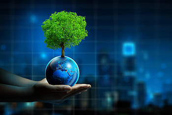Go Green, Online eco film festival, Green initiatives HD wallpaper