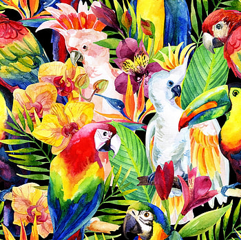 Tropical, exotic, flower, toucan, orchid, pasari, colorful, art, bird, texture, parrot HD wallpaper