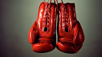 Boxing gloves, Sports equipment, Training gear, Fitness accessories HD wallpaper