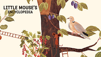 Little Mouse Encyclopedia , videogame, Indiegame, RedDeerGames, indie game, Red Deer Games, LME, Animals, Gameart, Game Art, Kids, video game, Art, Children, LittleMousesEncyclopedia, gaming HD wallpaper
