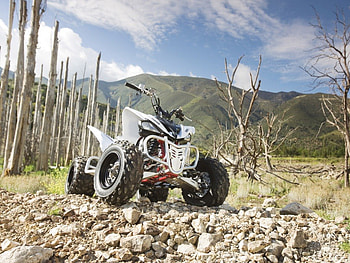 Yamaha YFM 250 raptor, yfm 250r, fast, cool, yamaha, raptor, quad HD wallpaper