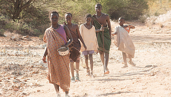 The Good Lie (2022) movie HD wallpaper
