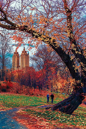 New York, Autumn In New York HD phone wallpaper