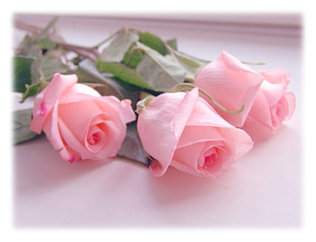 pink roses for you, pink, beautiful, roses, lovely HD wallpaper