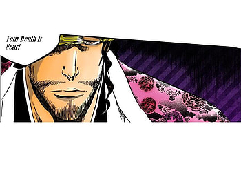 Shunsui, captain, bleach, pink, kimono, anime, death HD wallpaper