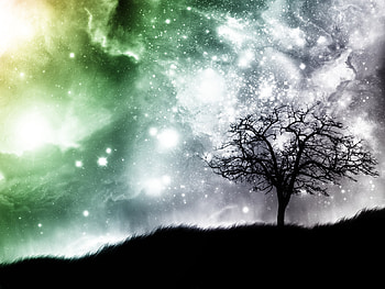 Dreaming, night, colors, sky, beautiful, stars, tree HD wallpaper
