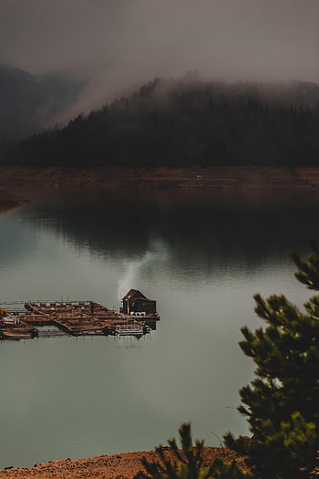 Nature, Lake, Forest, Fog, House HD phone wallpaper