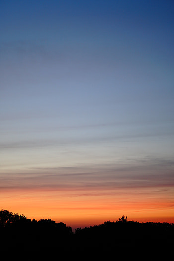Nature, Trees, Sunset, Night, Twilight, Silhouette, Dusk HD phone wallpaper