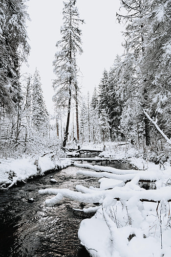 Landscape, Winter, Nature, Rivers, Trees, Snow HD phone wallpaper