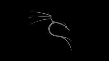 Linux, Kali Linux NetHunter, hop, Dragon / and Mobile Backgrounds HD wallpaper