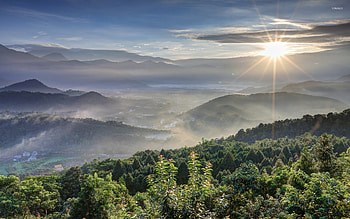 Bright sun rising from the cloudy sky above the forest HD wallpaper