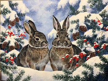 rabbits in the snow, winter, animals, snow, rabbits HD wallpaper