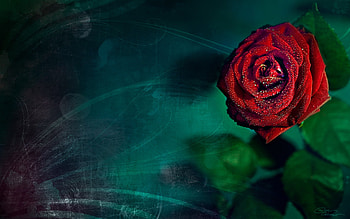 you need it, ros, you, need, for HD wallpaper