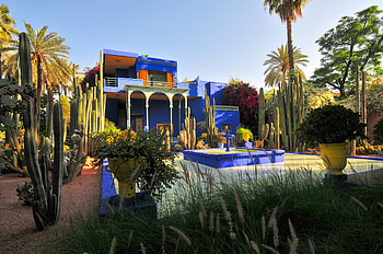 Marrakech Jardin Majorelle, , Natural beauty, Tranquil water HD wallpaper