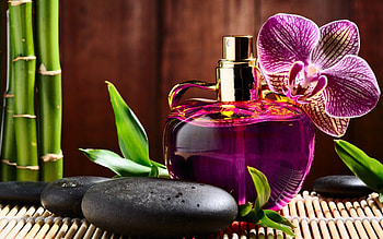 Perfume , Stylish backgrounds, Fragrance visuals, Perfume inspiration HD wallpaper