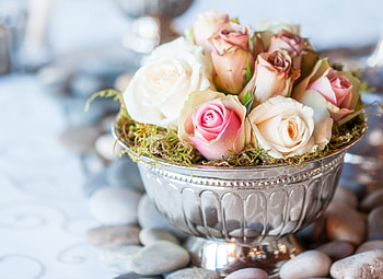 Roses, pebbles, vase, flowers HD wallpaper