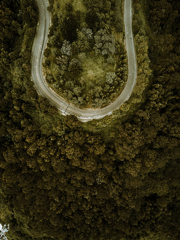 Nature, View From Above, Road, Turn, Forest, Sinuous, Winding HD phone wallpaper