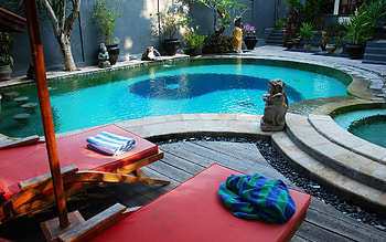 Plants, Water, Trees, Interior, Miscellanea, Miscellaneous, Vegetation, Design, Statuette, Figurine, Pool, Towel, Yin Yang HD wallpaper