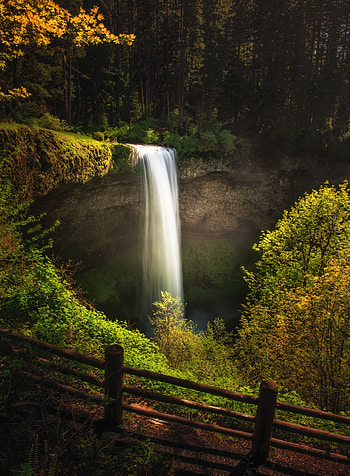 South falls, nature, stream, forest HD phone wallpaper