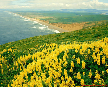 Beautifull California, california, beautifull HD wallpaper