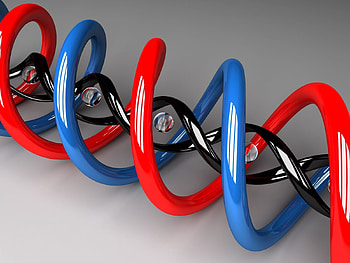 3D, Form, Plexus, Spiral, Figurine, Dna HD wallpaper