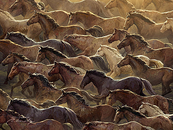Horses, animal, horse, brown, art, fantasy, cal, artem chebokha HD wallpaper
