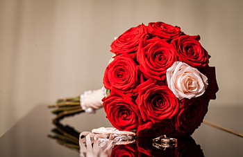 With Love, rings, roses, rose, wedding, love, red roses, flowers, bride, for you HD wallpaper