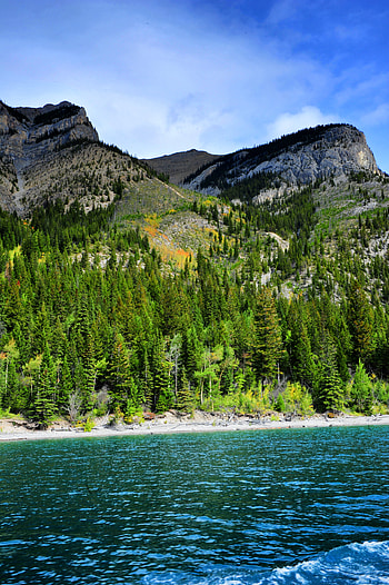 Nature, Water, Trees, Mountains, Forest, Relief HD phone wallpaper