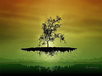 tree, flying HD wallpaper