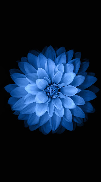 ... default backgrounds craft ... HD phone wallpaper