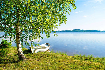 White boat on the lake, boat, tranquility, white, grass, beautiful, tree, lake, serenity, branches, calmness HD wallpaper