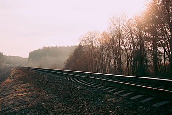 Foggy railway track through a misty autumn forest in Belarus, capturing serene nature and transportation scene. HD wallpaper