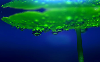 Background, Drops HD wallpaper