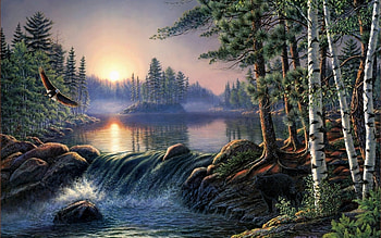 forest lake, forest, eagle, bear, lake HD wallpaper