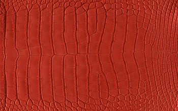 Hermes luxury brand, Leather fashion, Casual elegance, Opulent accessories HD wallpaper