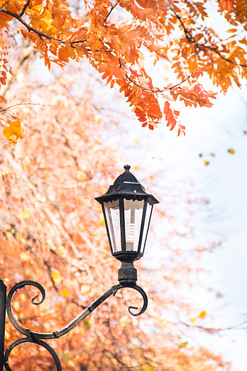 Autumn, Miscellanea, Miscellaneous, Lamp, Lantern, Metal, Metallic, Focus HD phone wallpaper