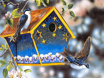 Birdhouse, animal, painting, bird, art, flower HD wallpaper